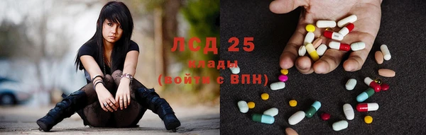 мяу мяу кристалл Гусь-Хрустальный