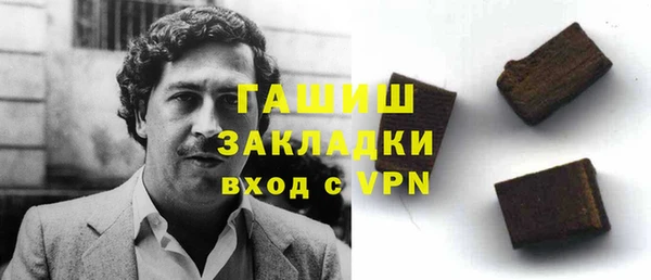 индика Горнозаводск
