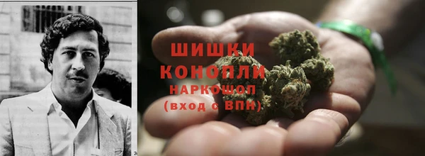 стаф Горняк