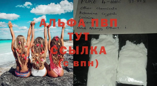 стаф Горняк