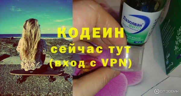 индика Горнозаводск