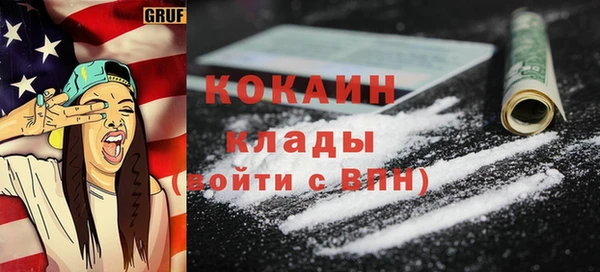 гидра Гусиноозёрск
