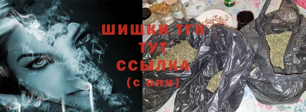 индика Горнозаводск