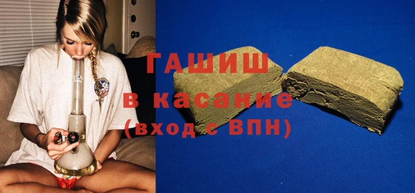 индика Горнозаводск