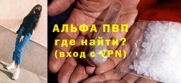 индика Горнозаводск
