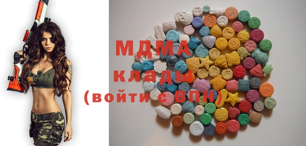 индика Горнозаводск