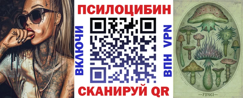 Галлюциногенные грибы Magic Shrooms  Купить закладки  Моршанск 