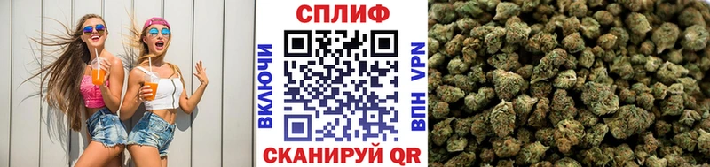 Канабис ГИДРОПОН  Купить  Моршанск 